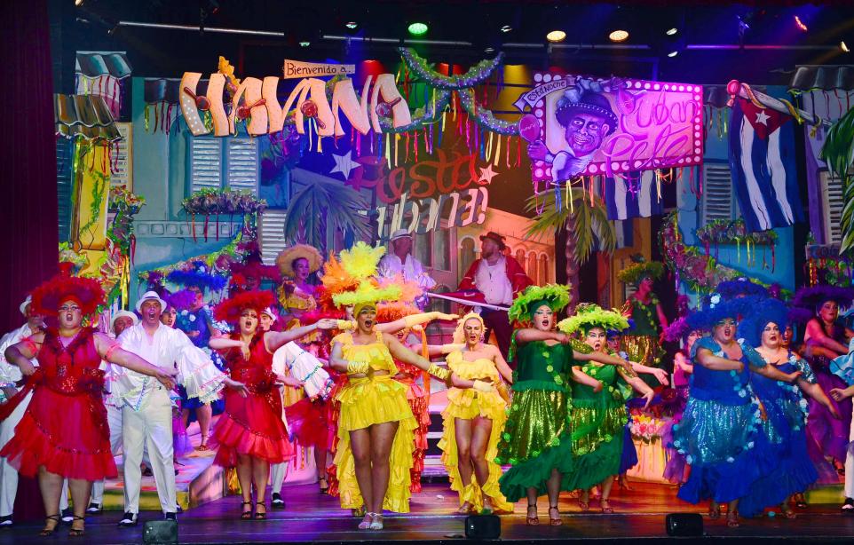 Bridgwater Carnival Collection