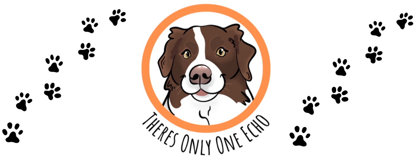 'There's Only One Echo' Notch Collection