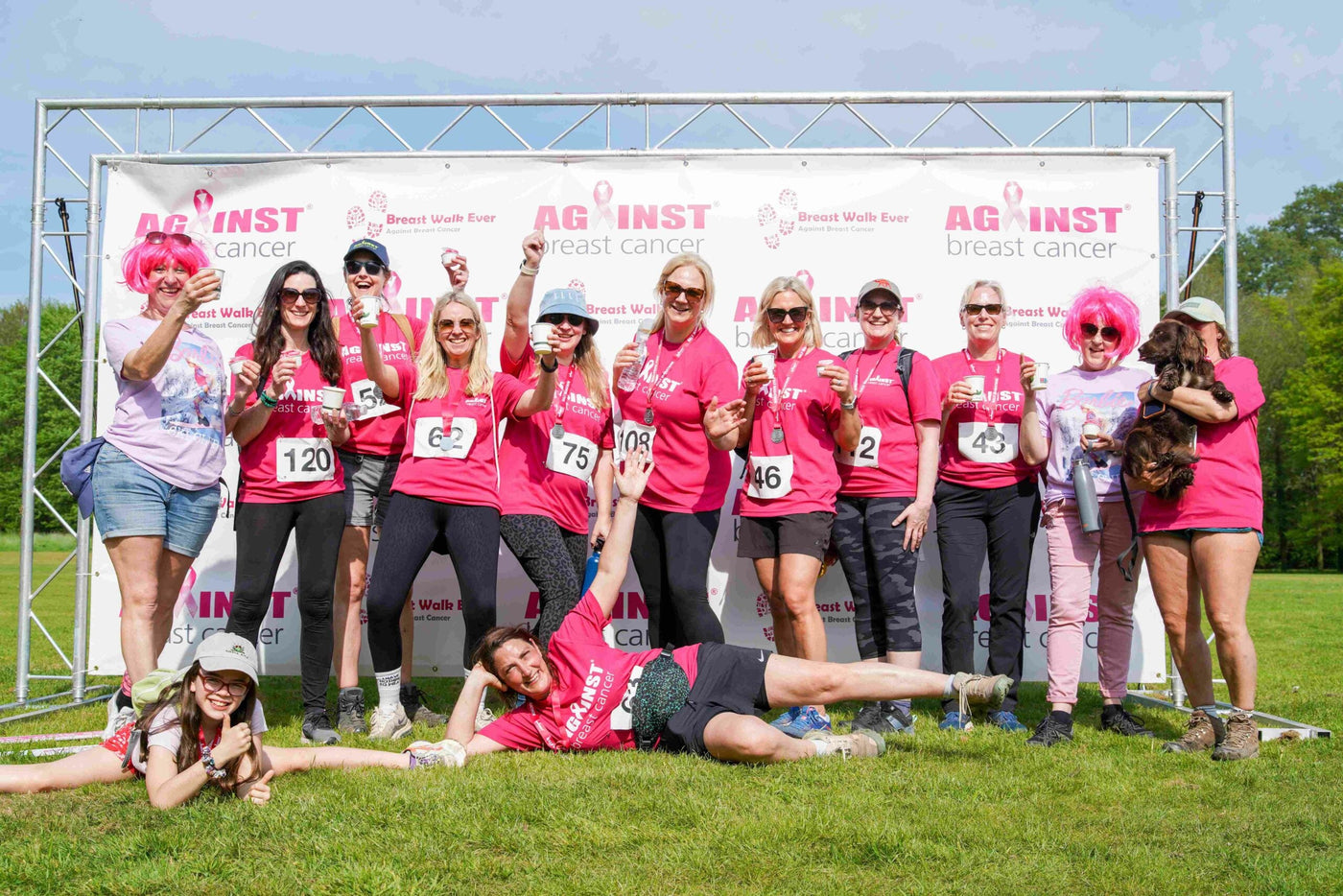 Against Breast Cancer NOTCH Collection