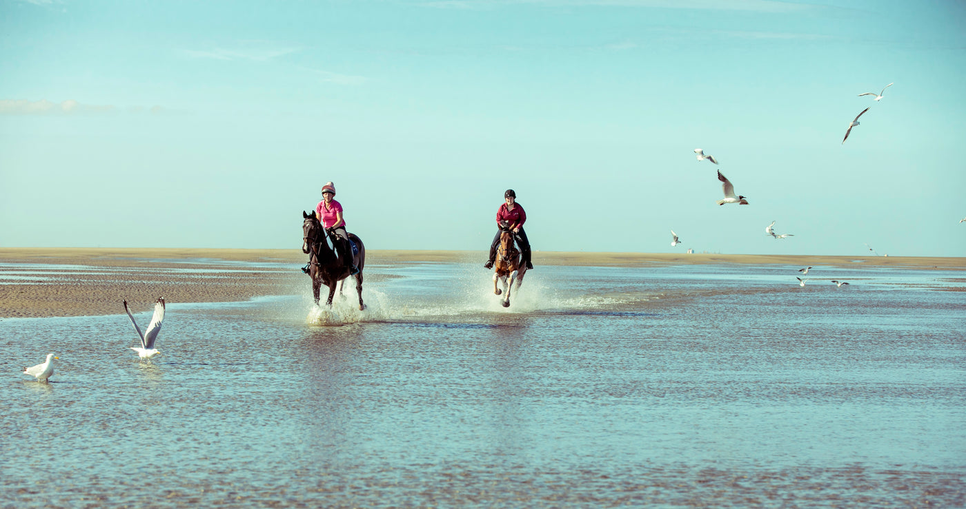 Equestrian NOTCH Charms
