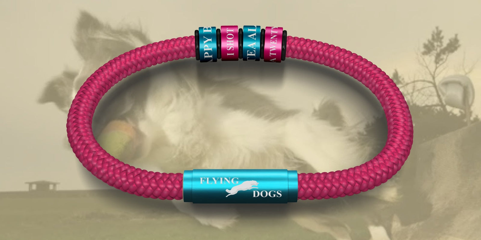 The Flying Dogs NOTCH Collection
