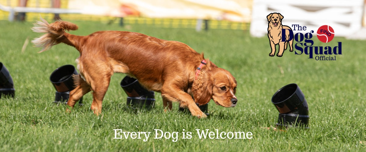 The Dog Squad NOTCH Collection