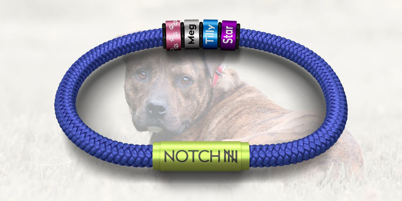 Wags and Bones Staffie Rescue Support NOTCH Collection