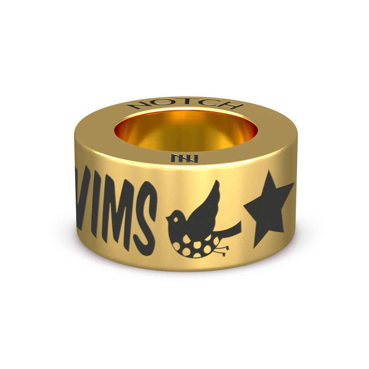 100 Swims NOTCH Charm