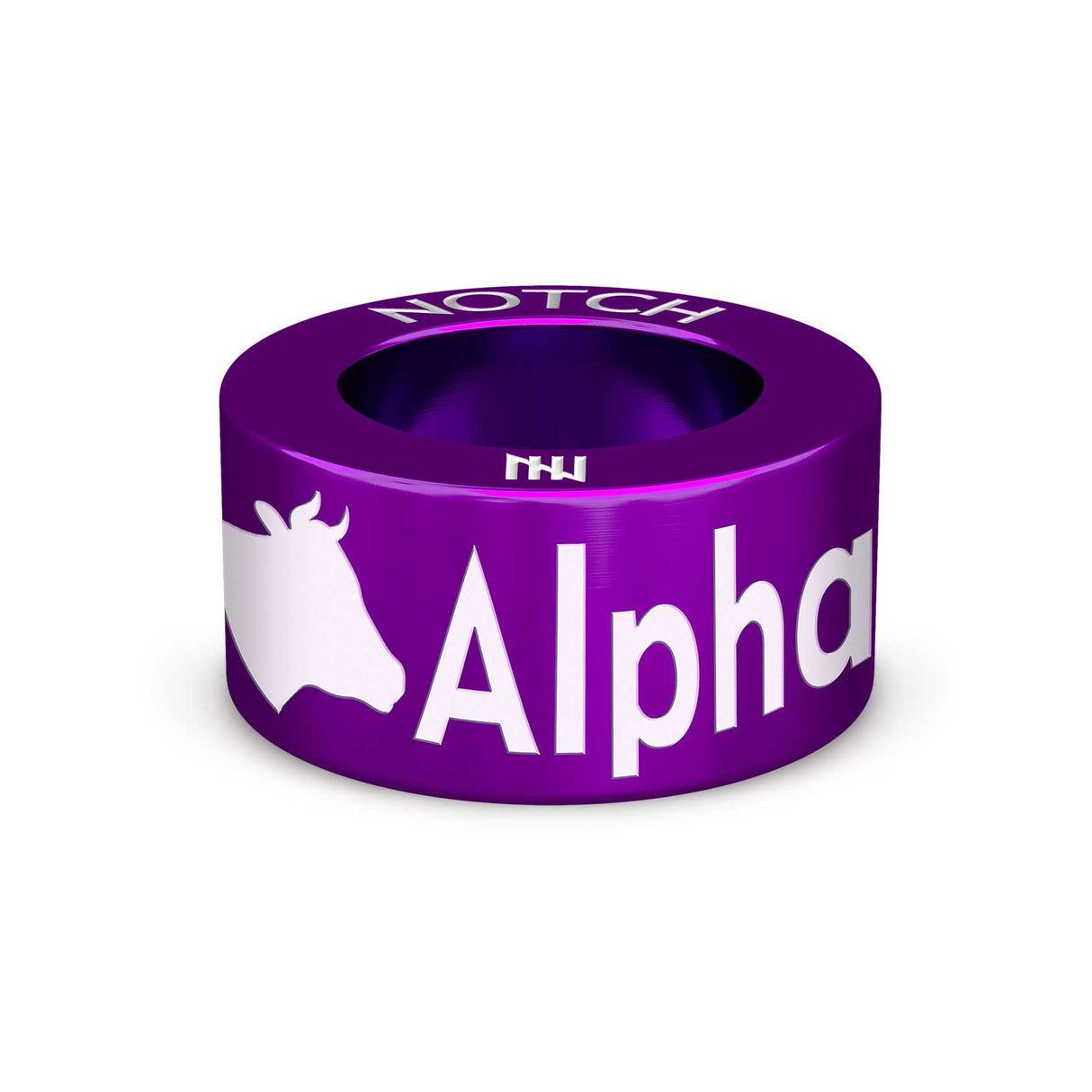 Alphabeteer NOTCH Charm