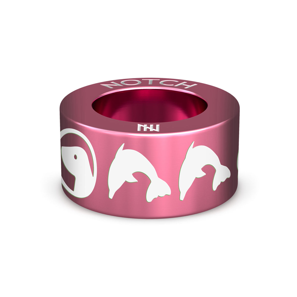 BDMLR Dolphin NOTCH Charm