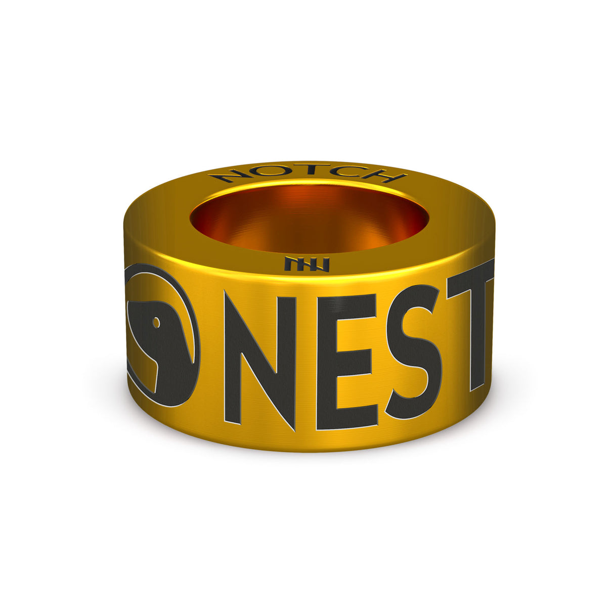 BDMLR NEST NOTCH Charm