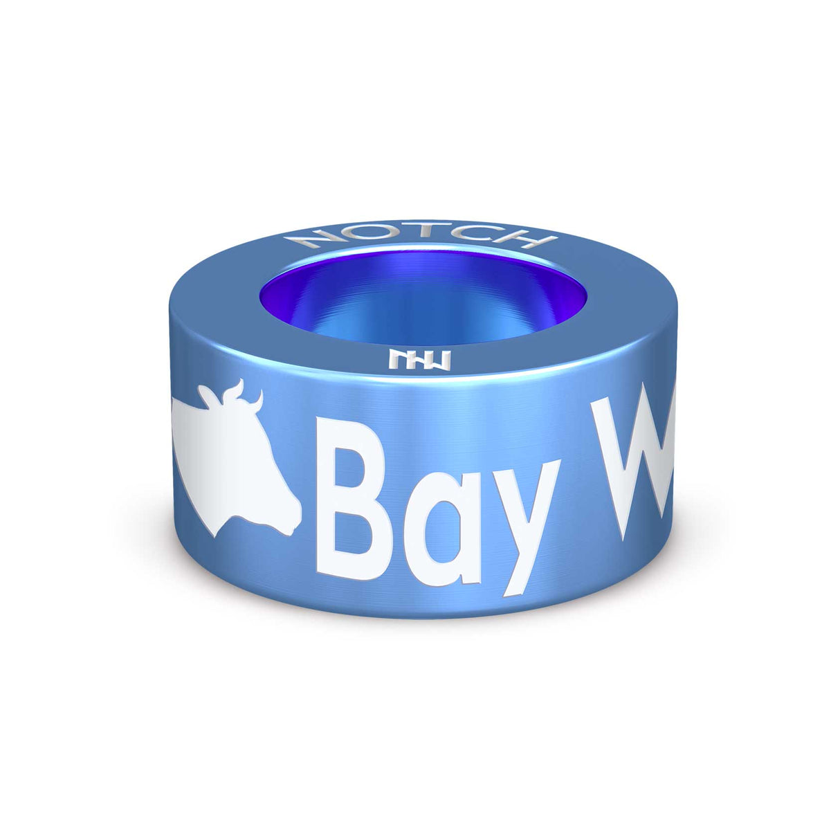 Bay Watch NZ NOTCH Charm