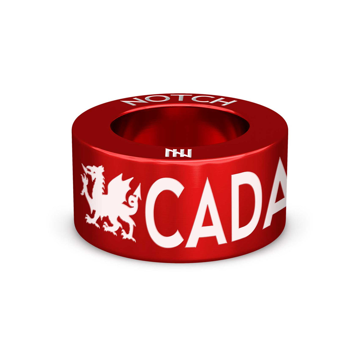 Caerphilly and District Agility Club NOTCH Bracelet and Charm - Green