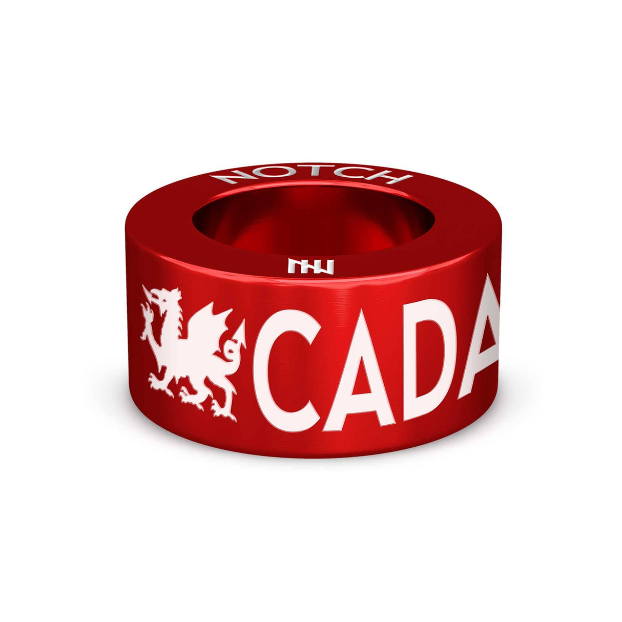 Caerphilly and District Agility Club NOTCH Bracelet and Charm - Green