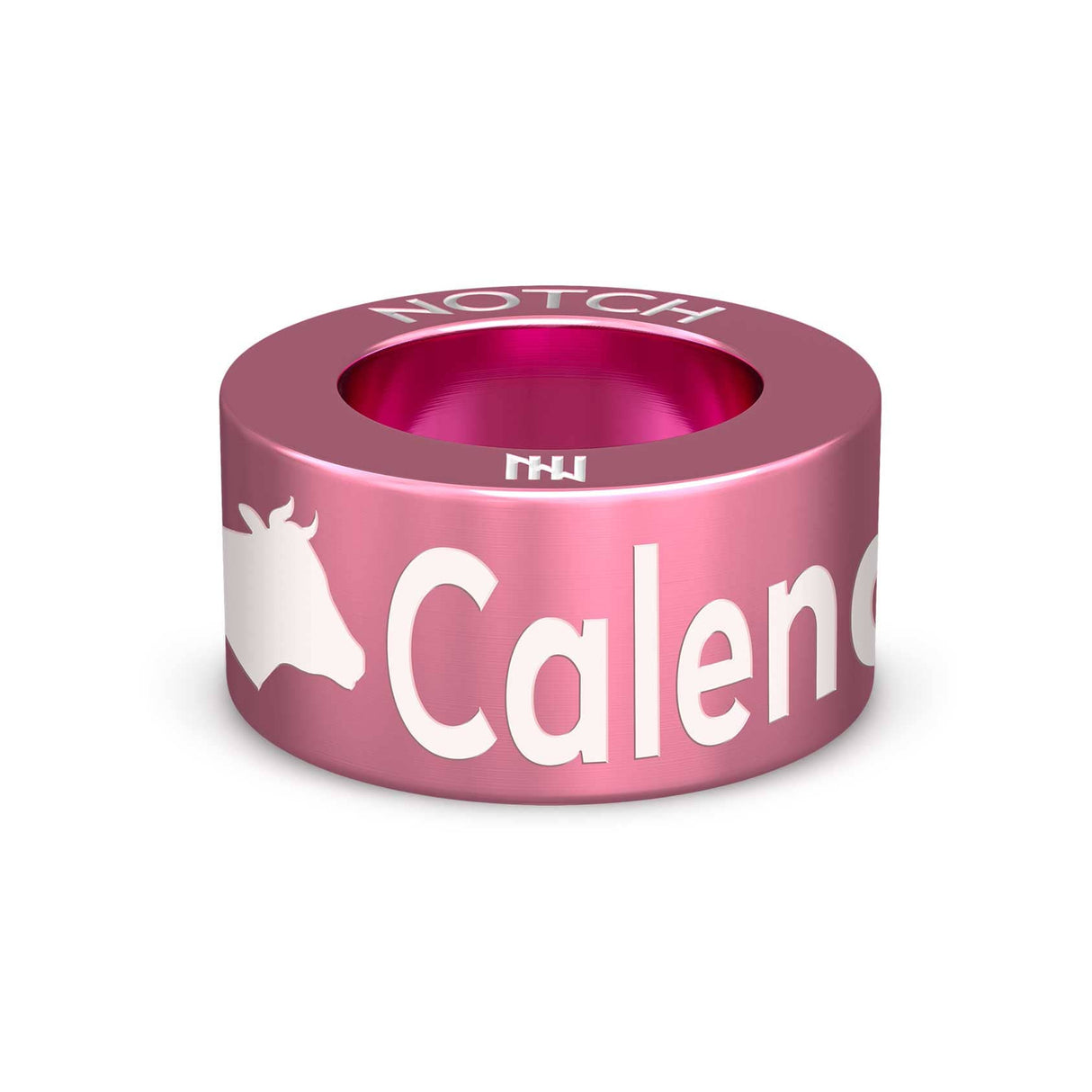 Calendar Bingo NOTCH Charm