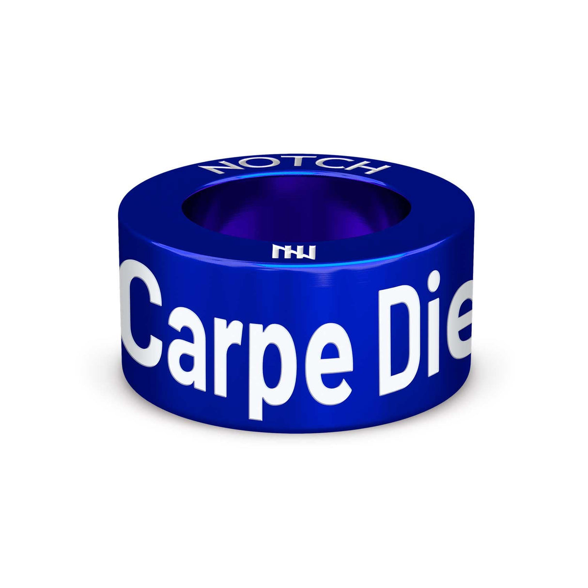 Carpe Diem Notch Charm