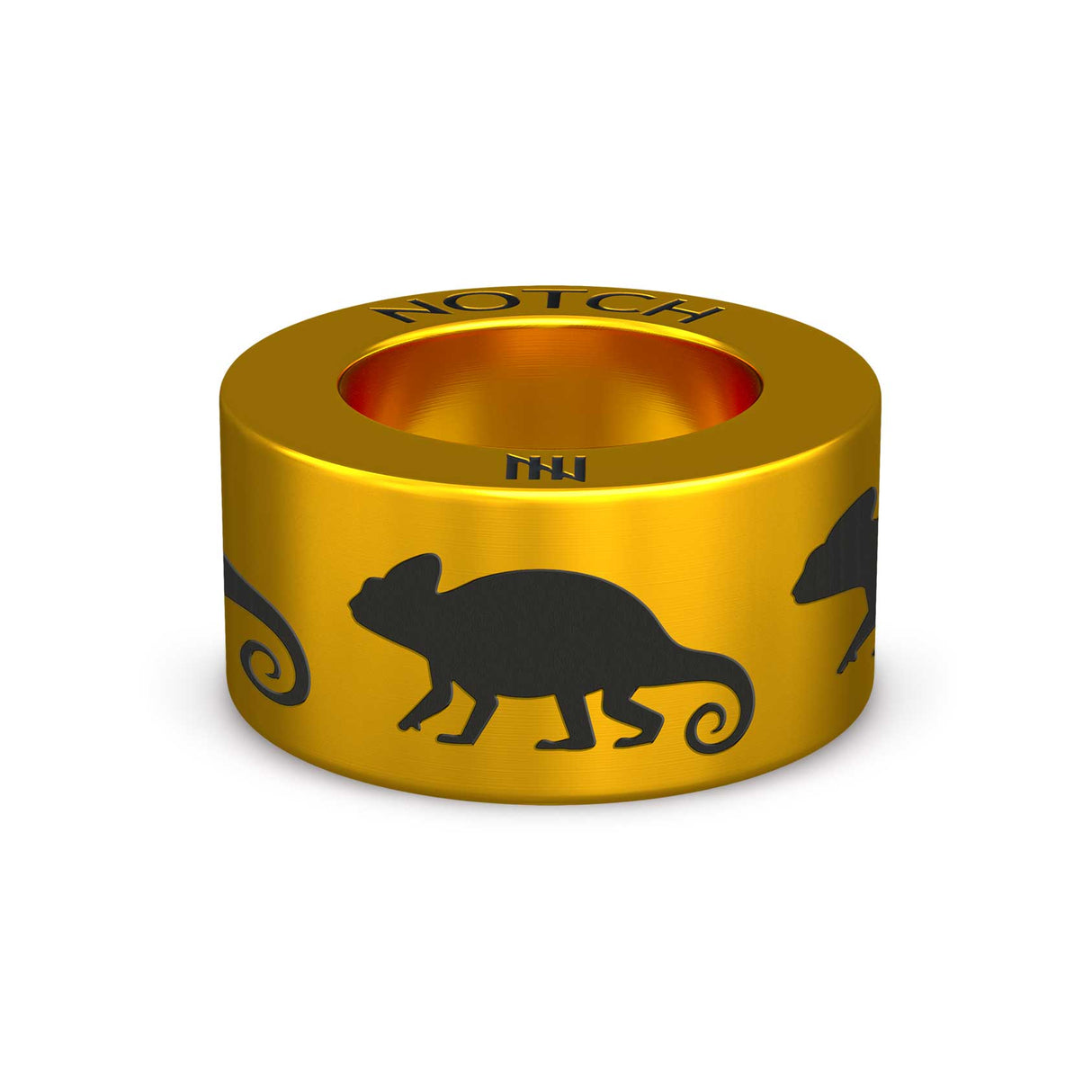 Chameleon NOTCH Charm