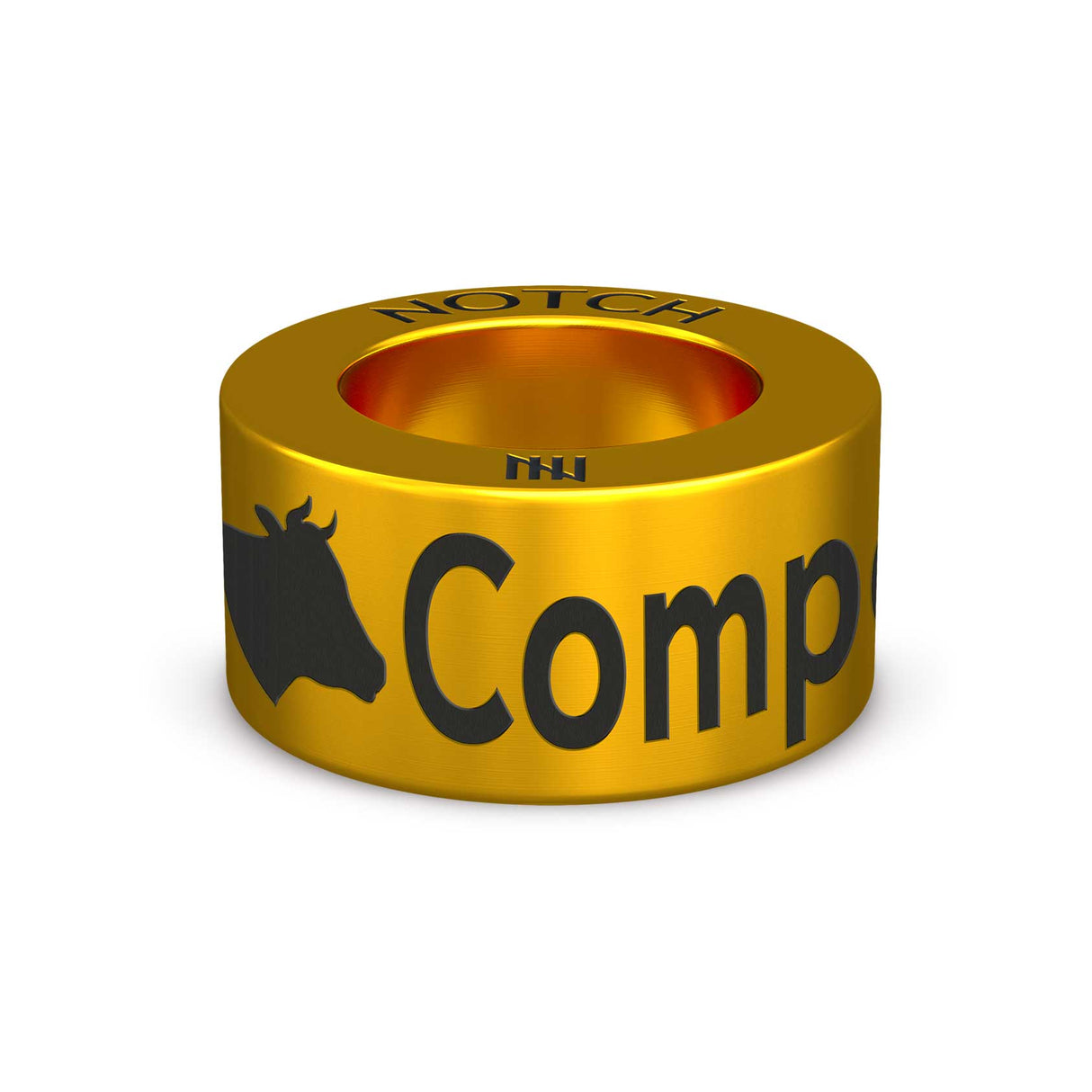 Compass Club ZA NOTCH Charm