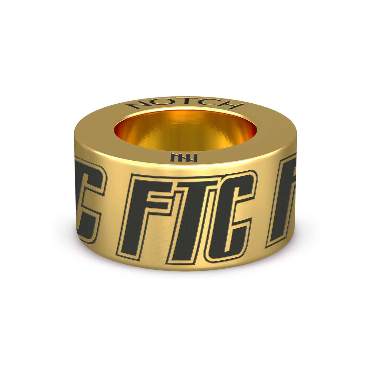 Flyball Tournament Circuit NOTCH Charm