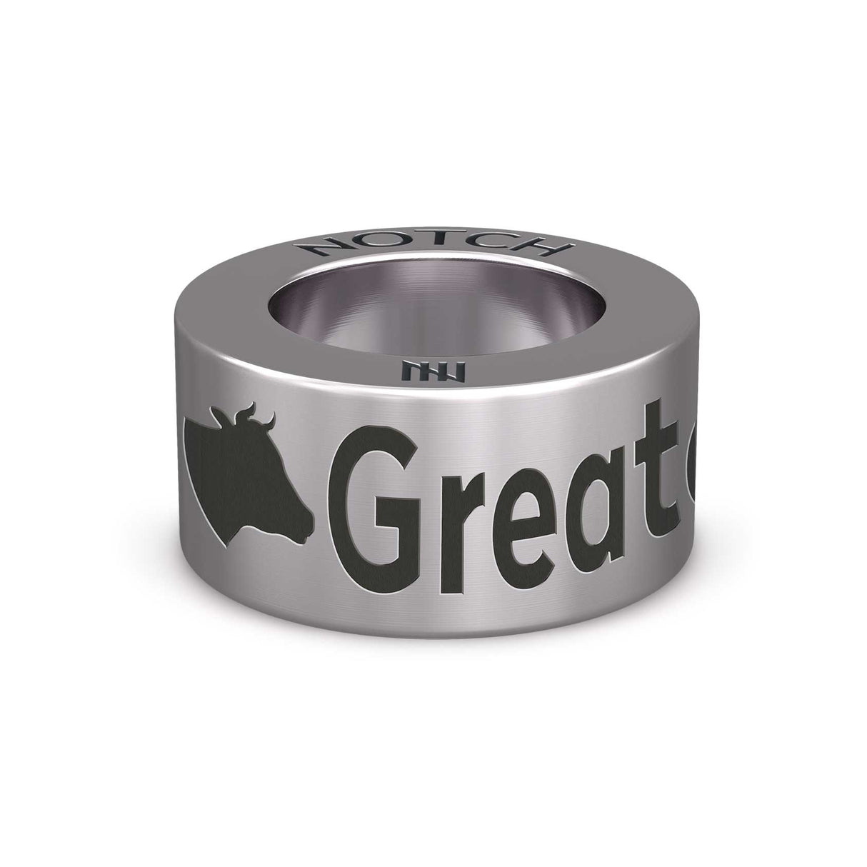 Greater Bristol NOTCH Charm