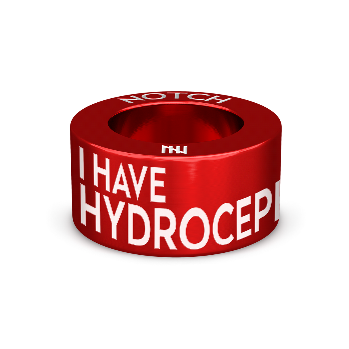 Hydrocephalus NOTCH Charm