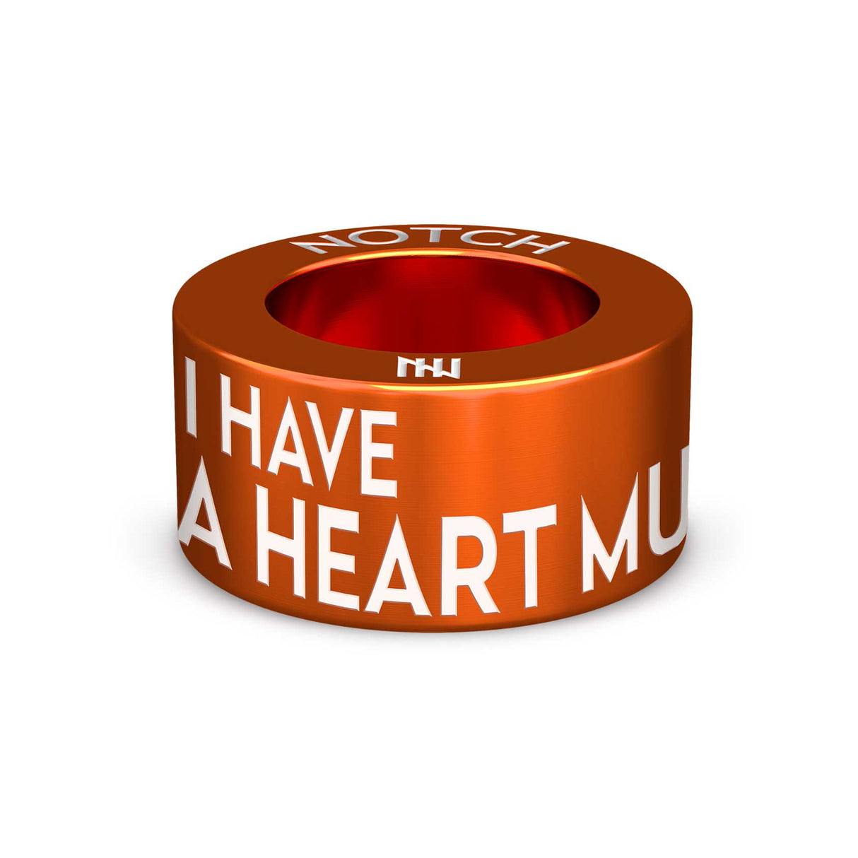 I Have A Heart Murmur NOTCH Charm