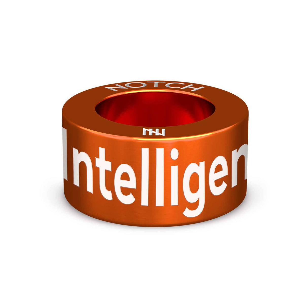 Intelligence Unit NOTCH Charm