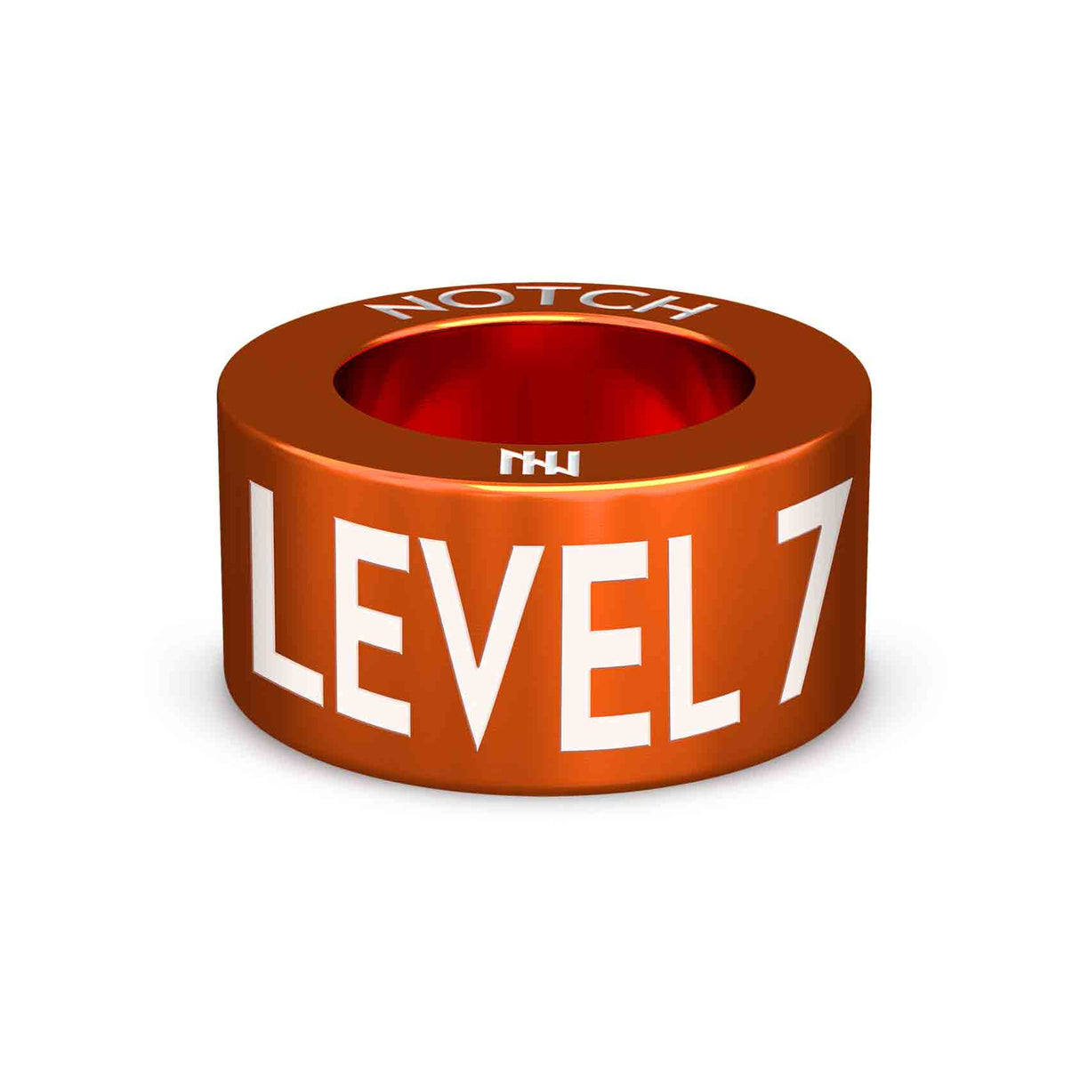 PB Award Level 7 NOTCH Charm