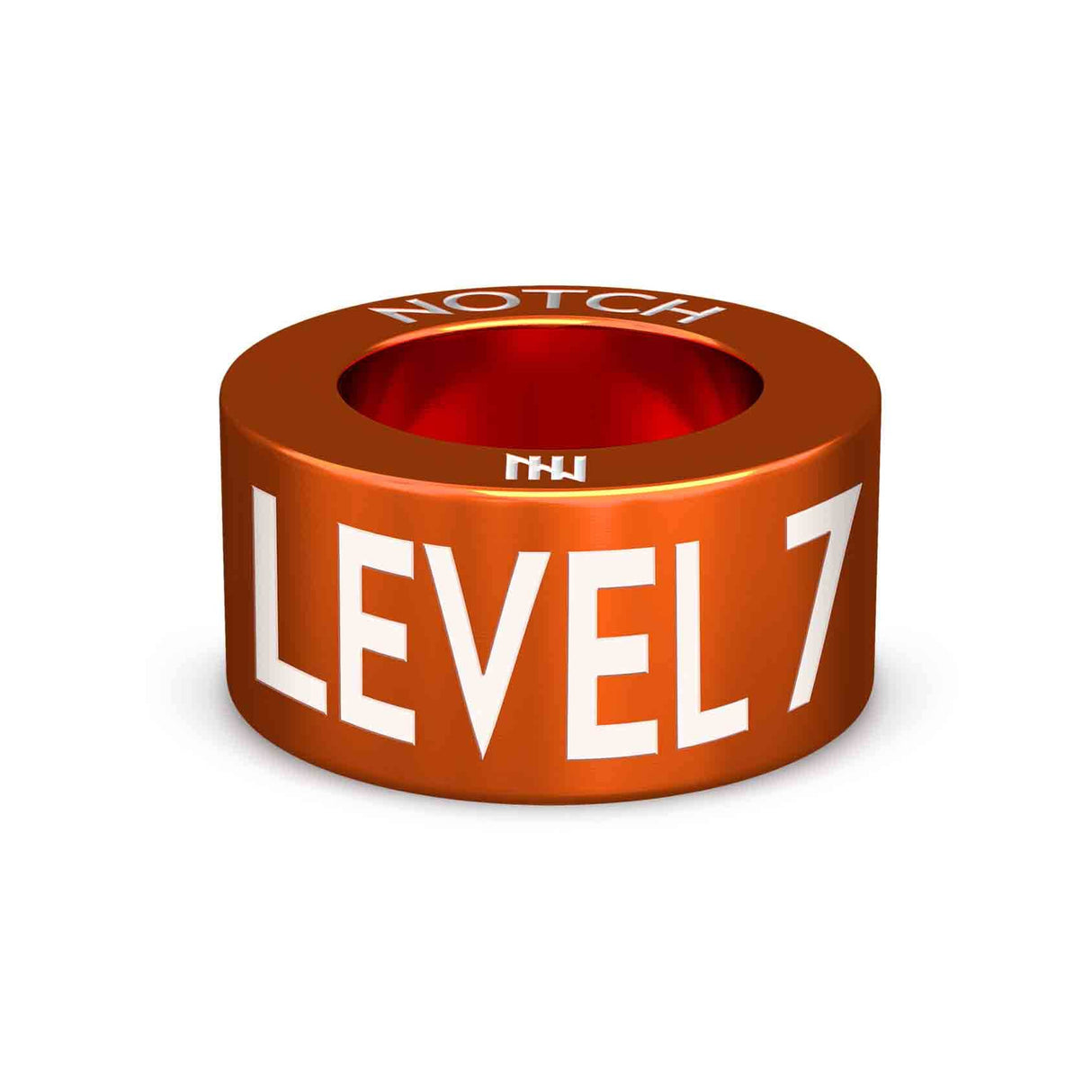 PB Award Level 7 NOTCH Charm