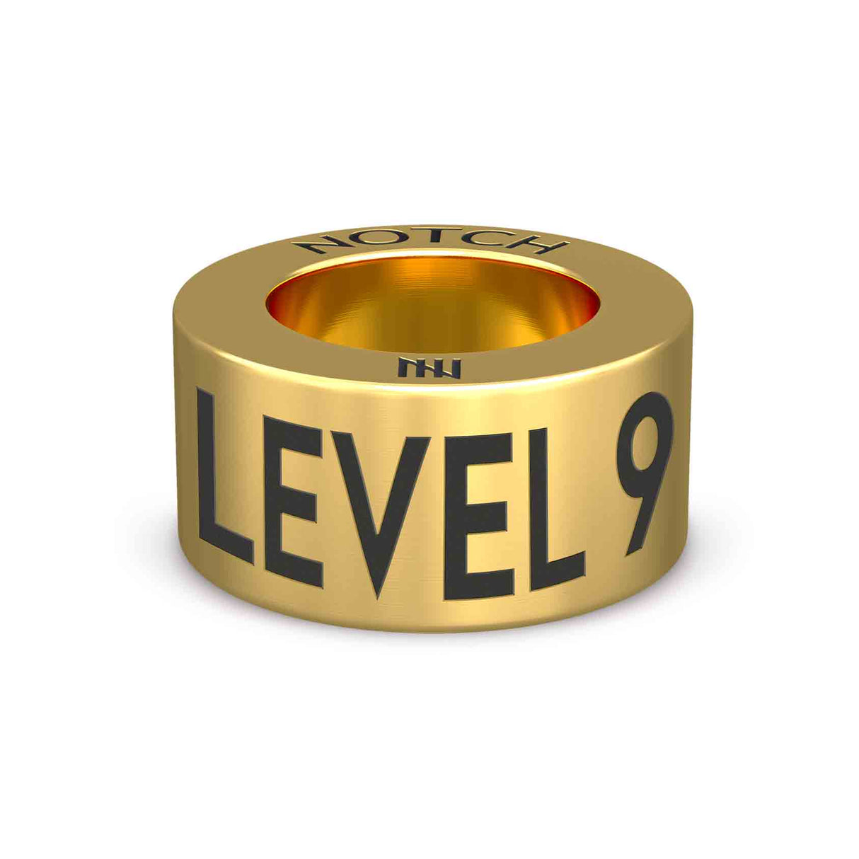 PB Award Level 9 NOTCH Charm