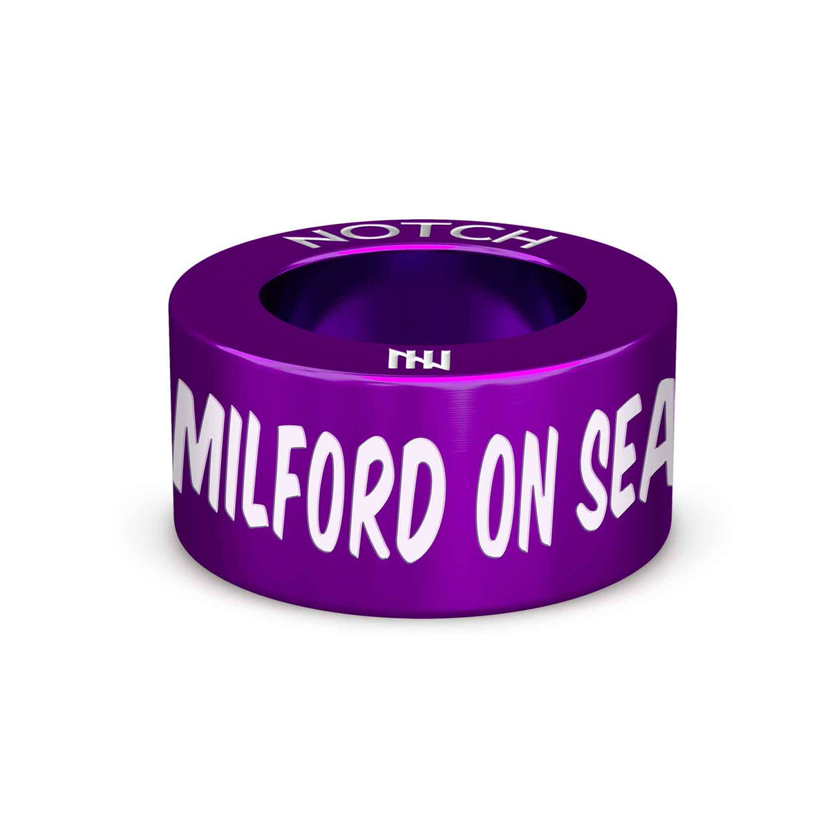 Milford on Sea Bluetits NOTCH Charm