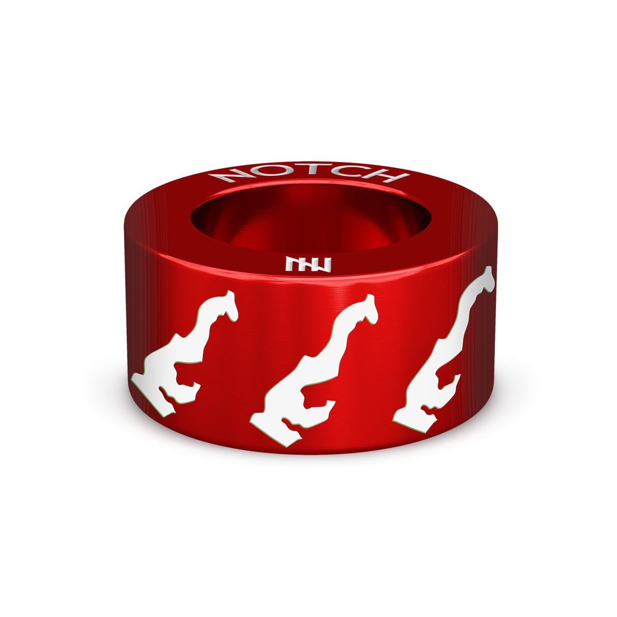 Monaco Map NOTCH Charm