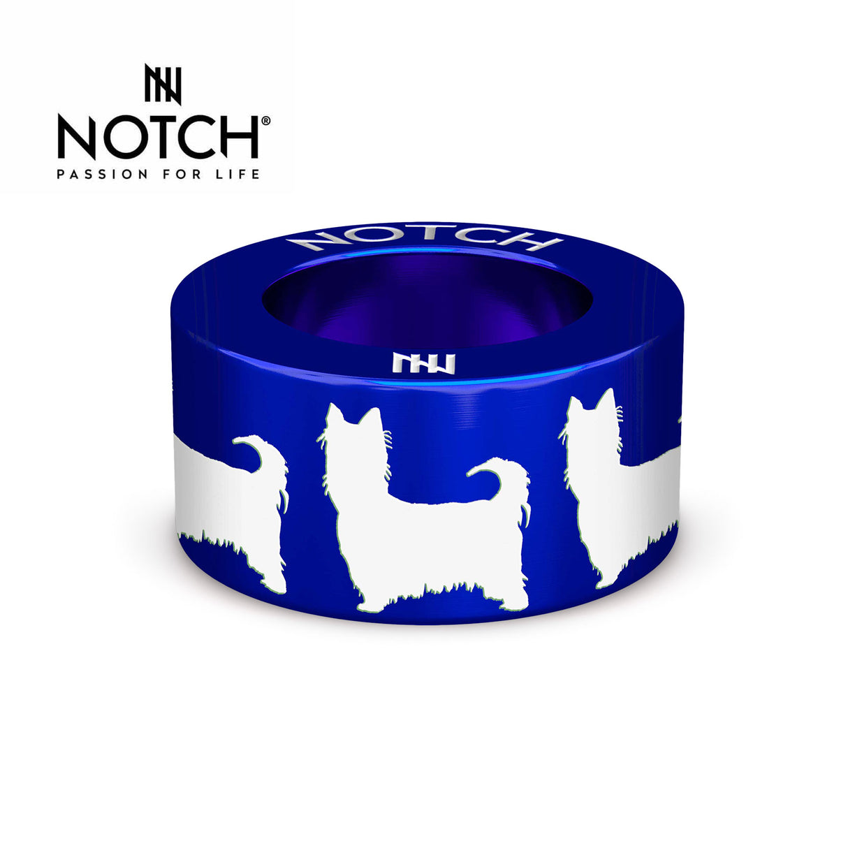 Australian Silky Terrier NOTCH Charm