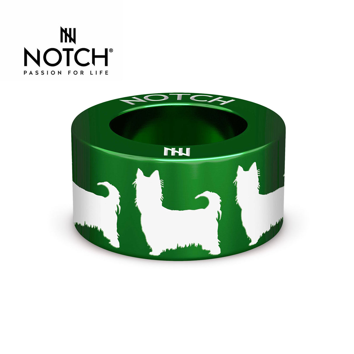 Australian Silky Terrier NOTCH Charm