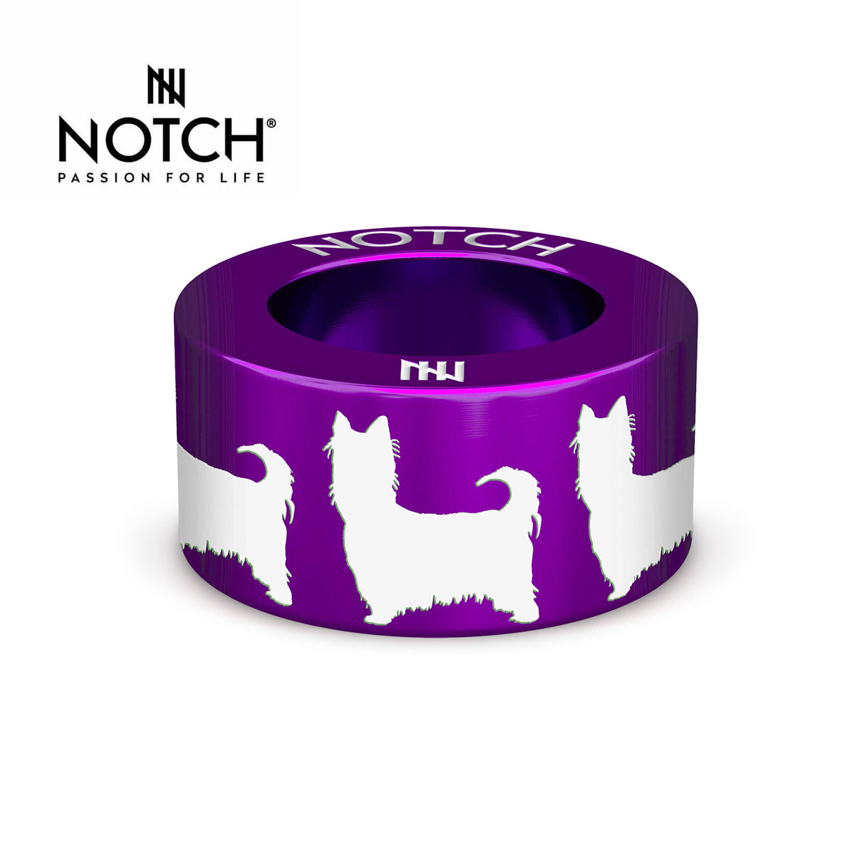 Australian Silky Terrier NOTCH Charm