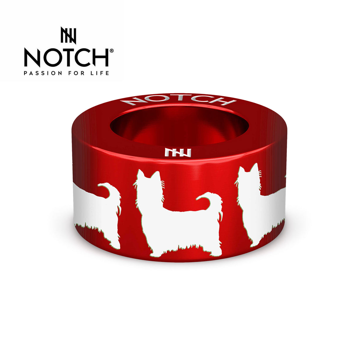 Australian Silky Terrier NOTCH Charm