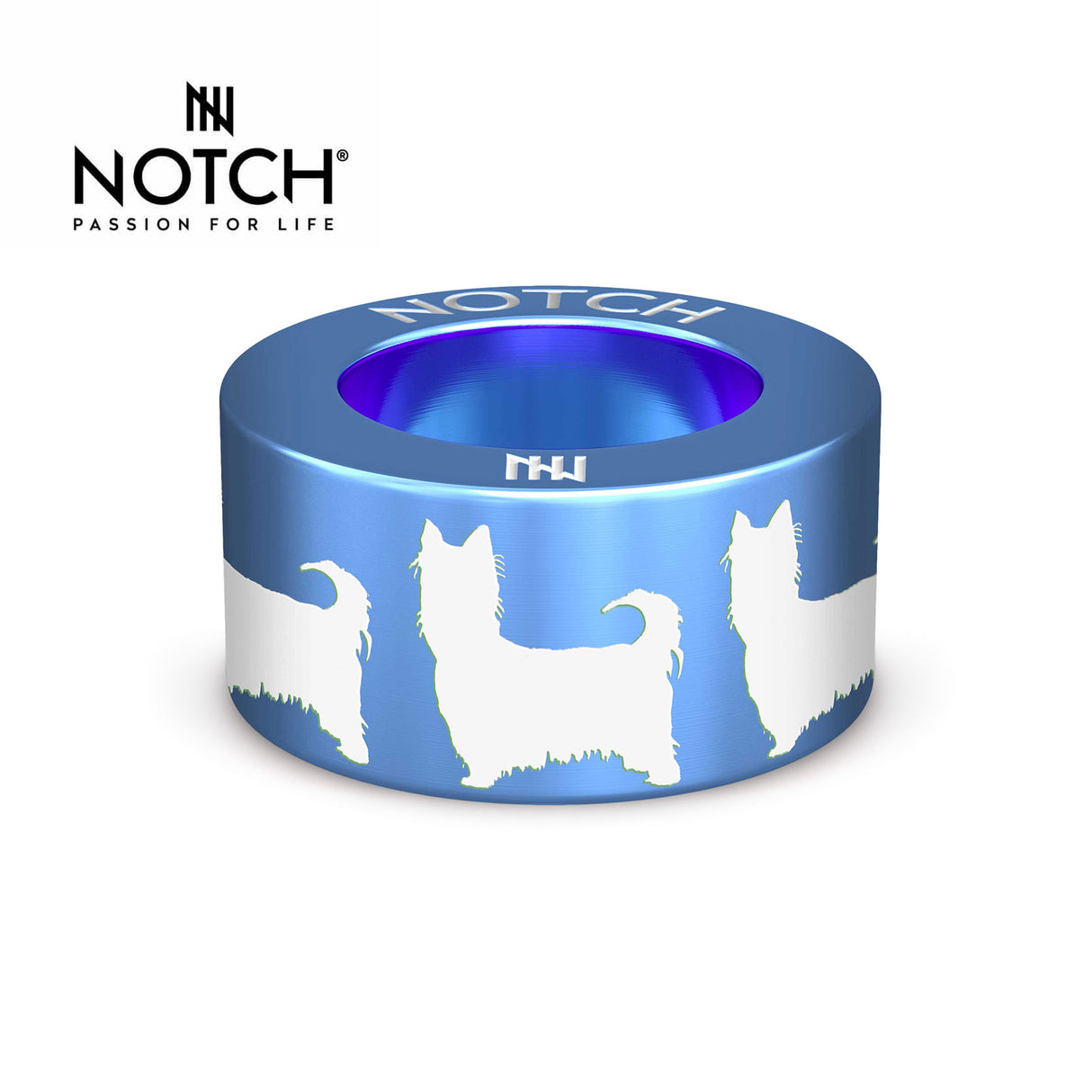 Australian Silky Terrier NOTCH Charm