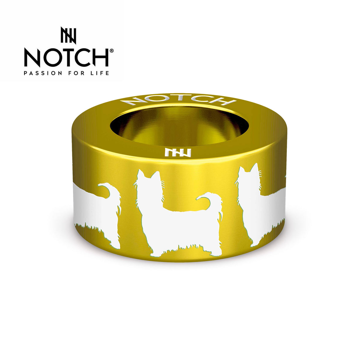 Australian Silky Terrier NOTCH Charm