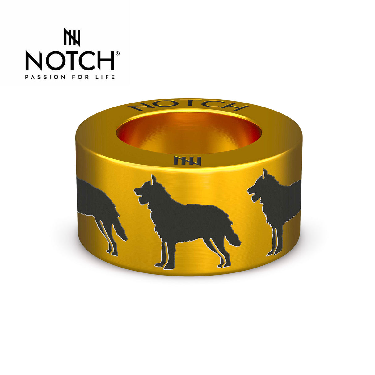 Belgian Shepherd Dog (Laekenois) NOTCH Charm