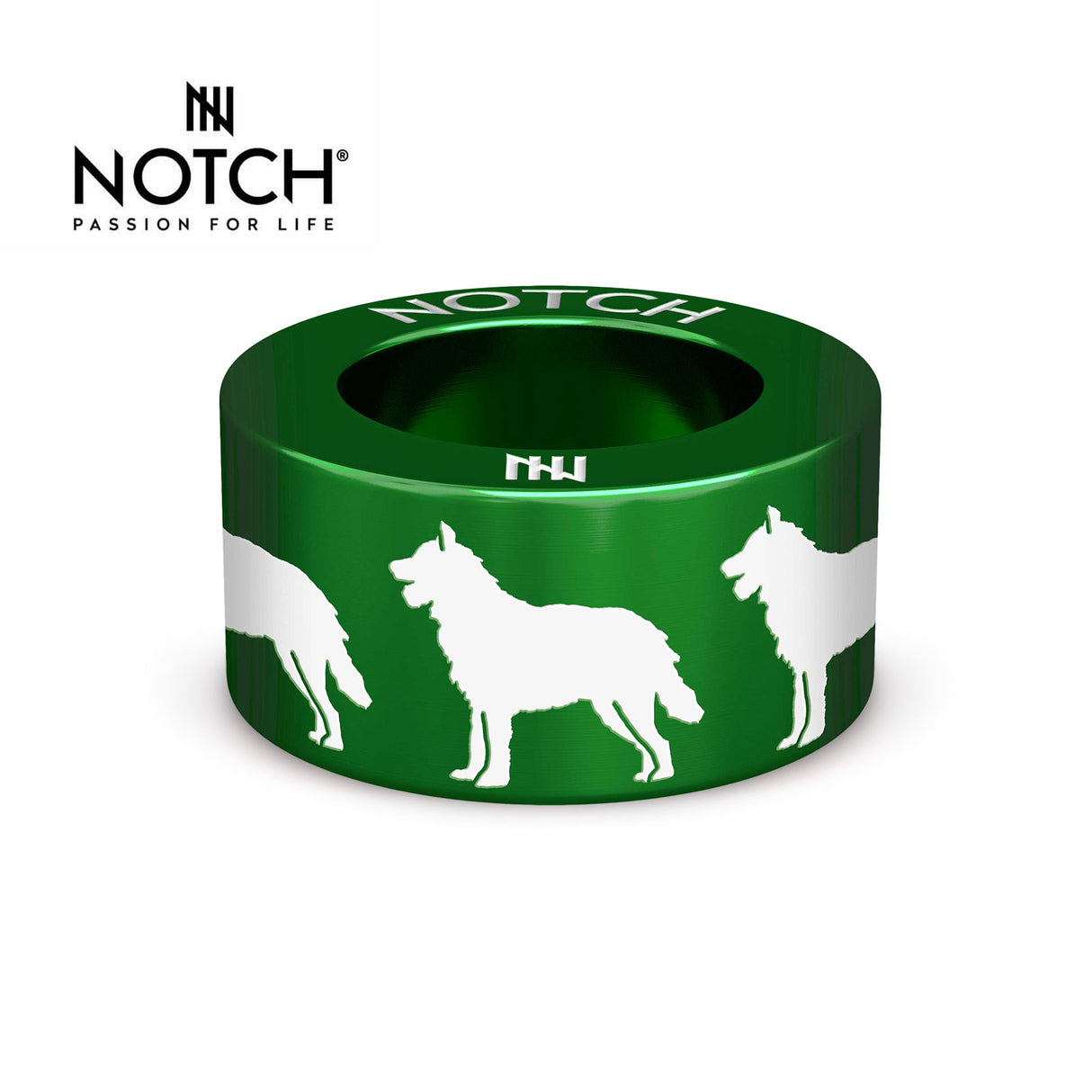 Belgian Shepherd Dog (Laekenois) NOTCH Charm
