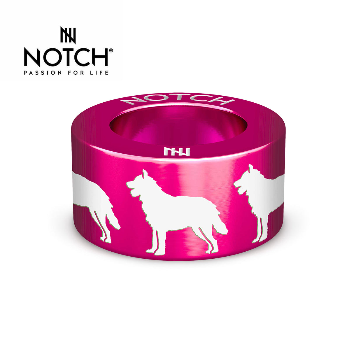 Belgian Shepherd Dog (Laekenois) NOTCH Charm
