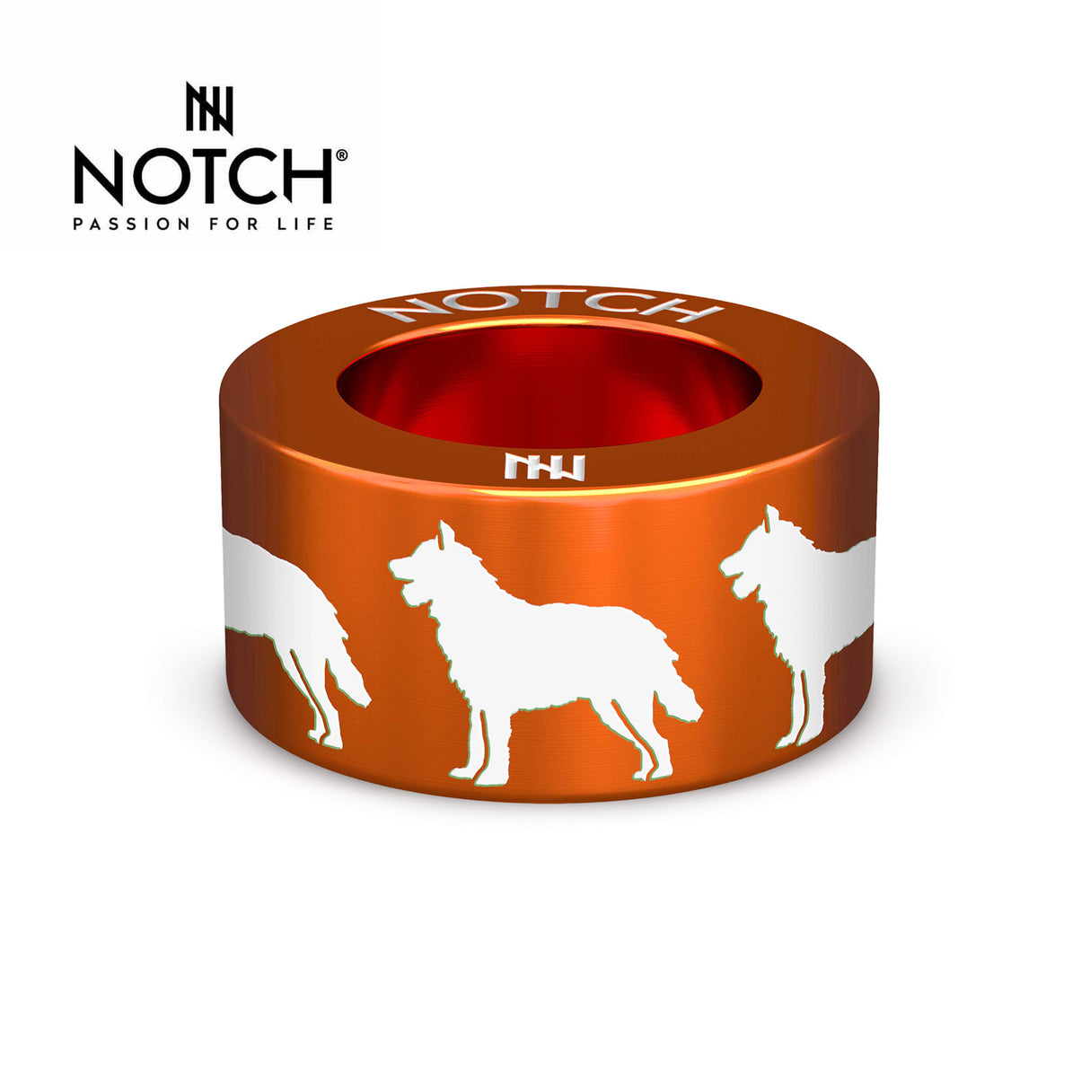 Belgian Shepherd Dog (Laekenois) NOTCH Charm