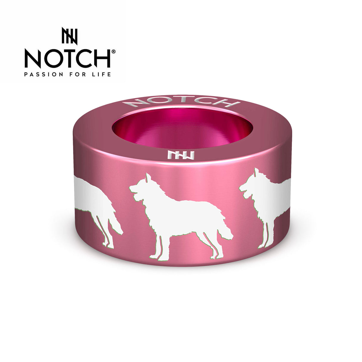 Belgian Shepherd Dog (Laekenois) NOTCH Charm