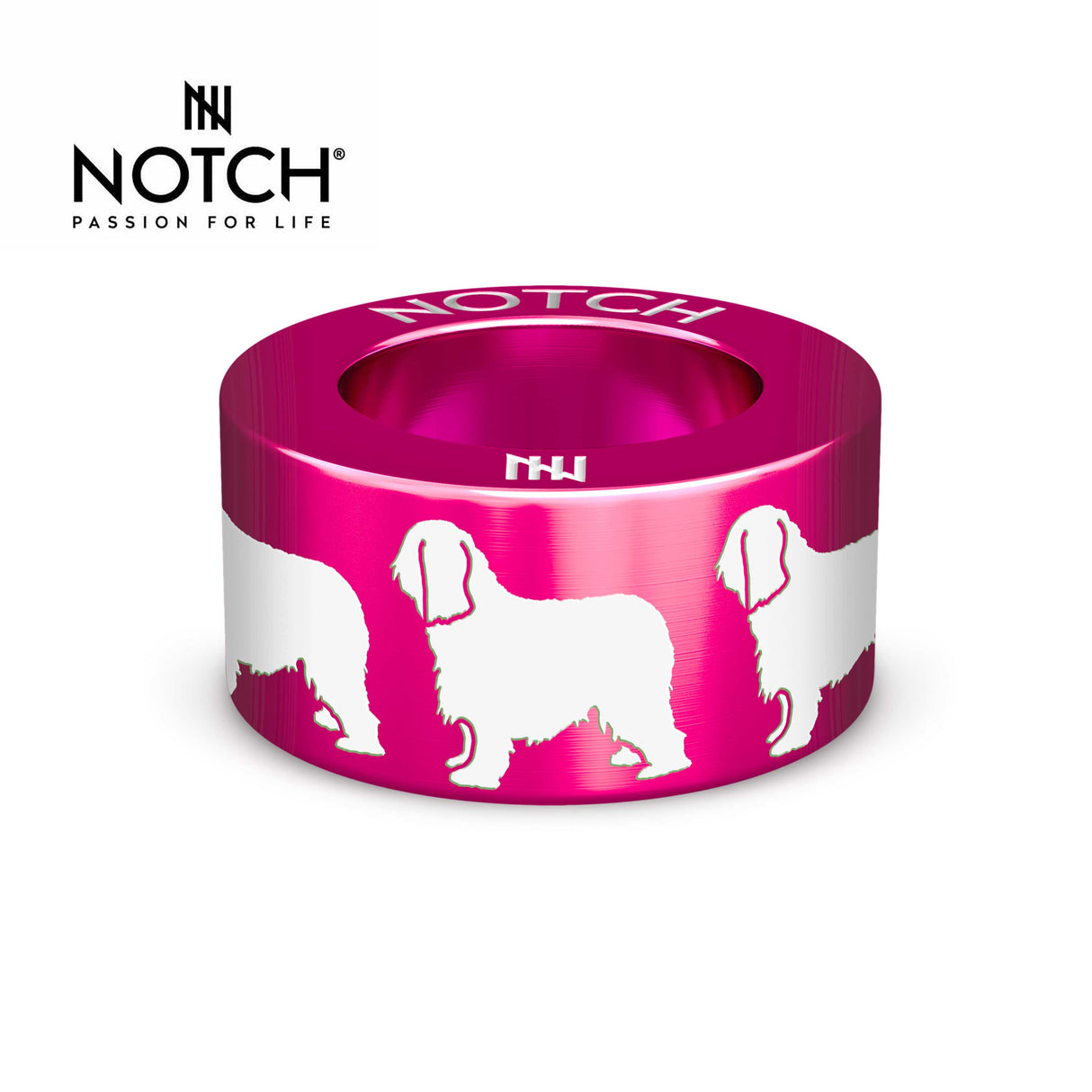 Briard NOTCH Charm