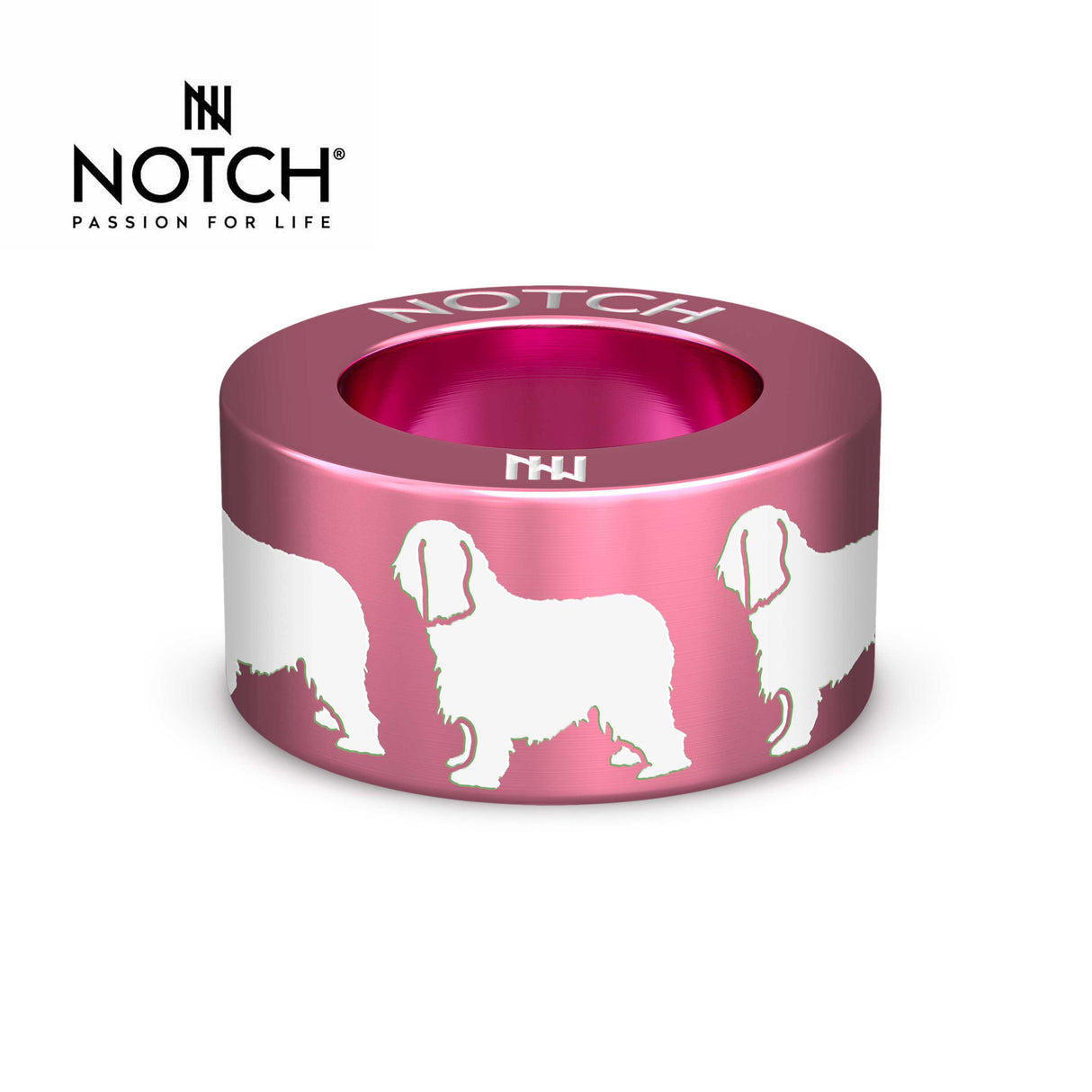 Briard NOTCH Charm