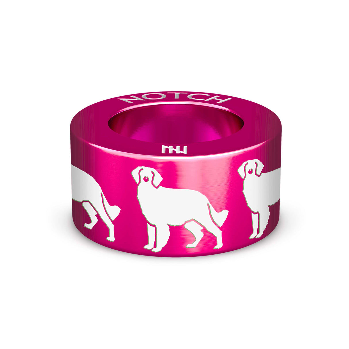 Brittany (spaniel) NOTCH Charm