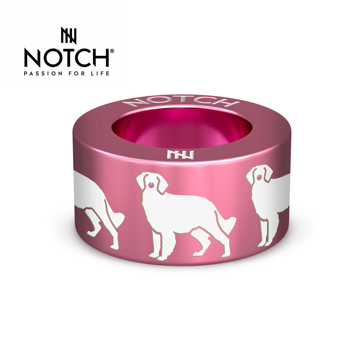 Brittany (spaniel) NOTCH Charm