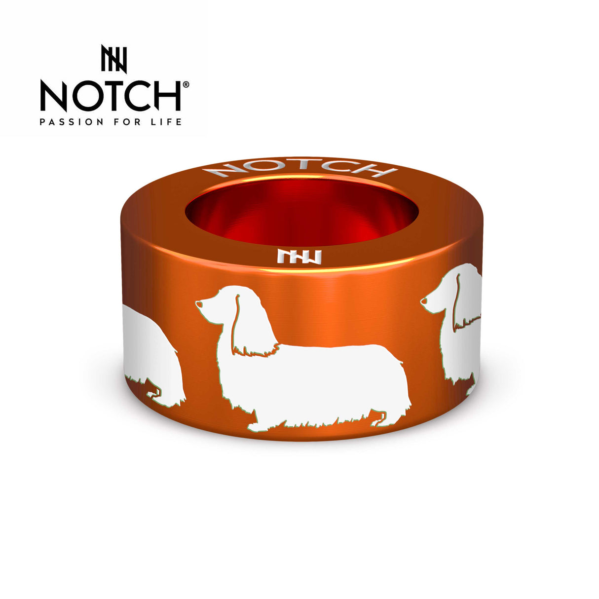 Dachshund (Long-haired) NOTCH Charm