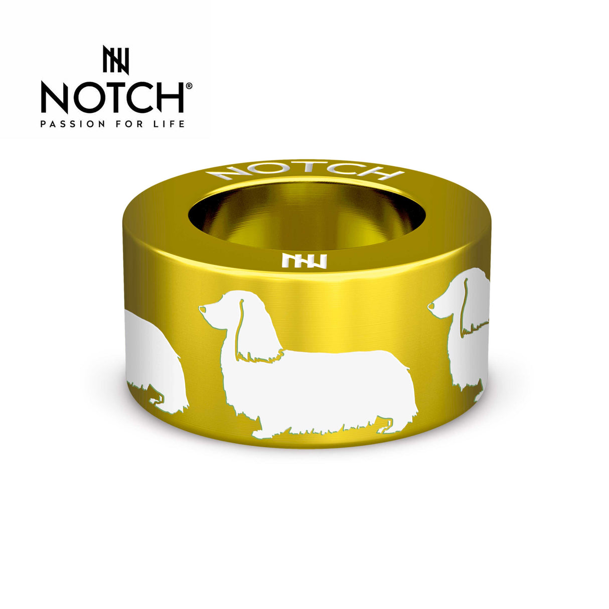 Dachshund (Long-haired) NOTCH Charm
