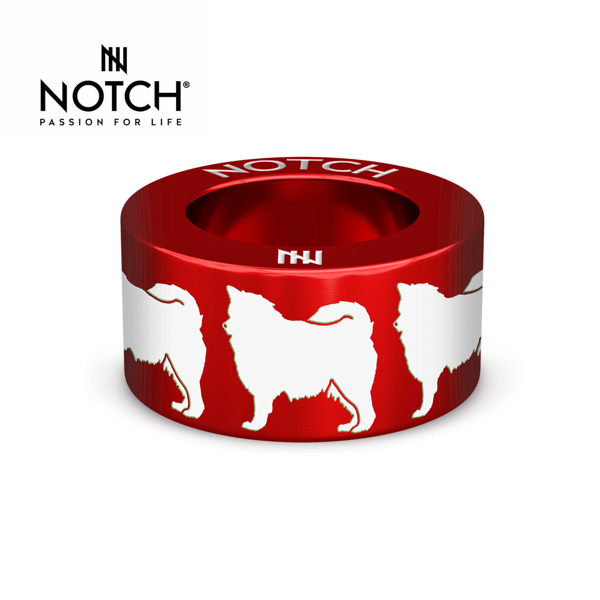 Finnish Lapphund NOTCH Charm