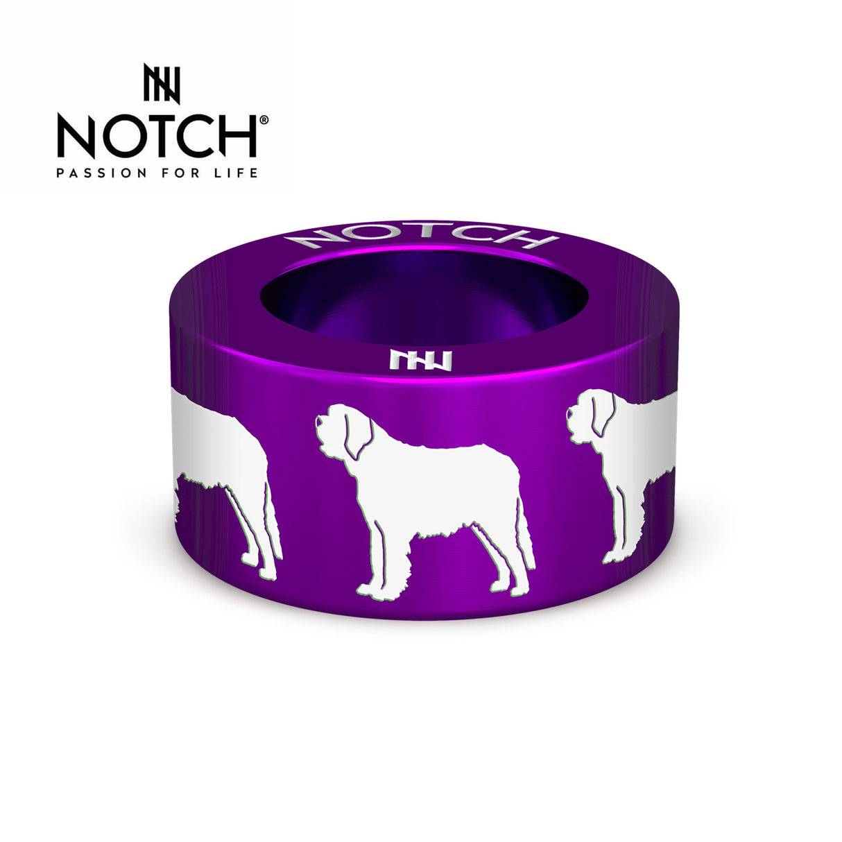 St Bernard NOTCH Charm