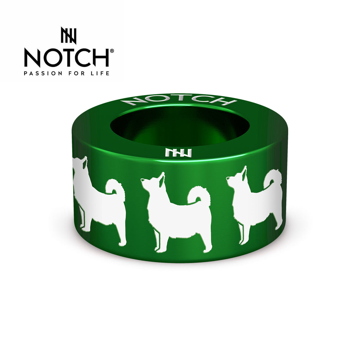 Swedish Vallhund NOTCH Charm