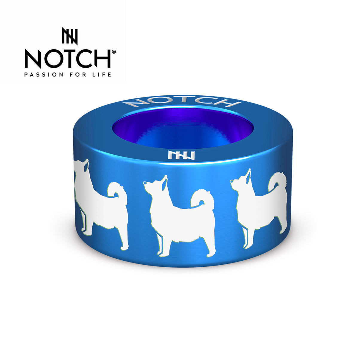 Swedish Vallhund NOTCH Charm