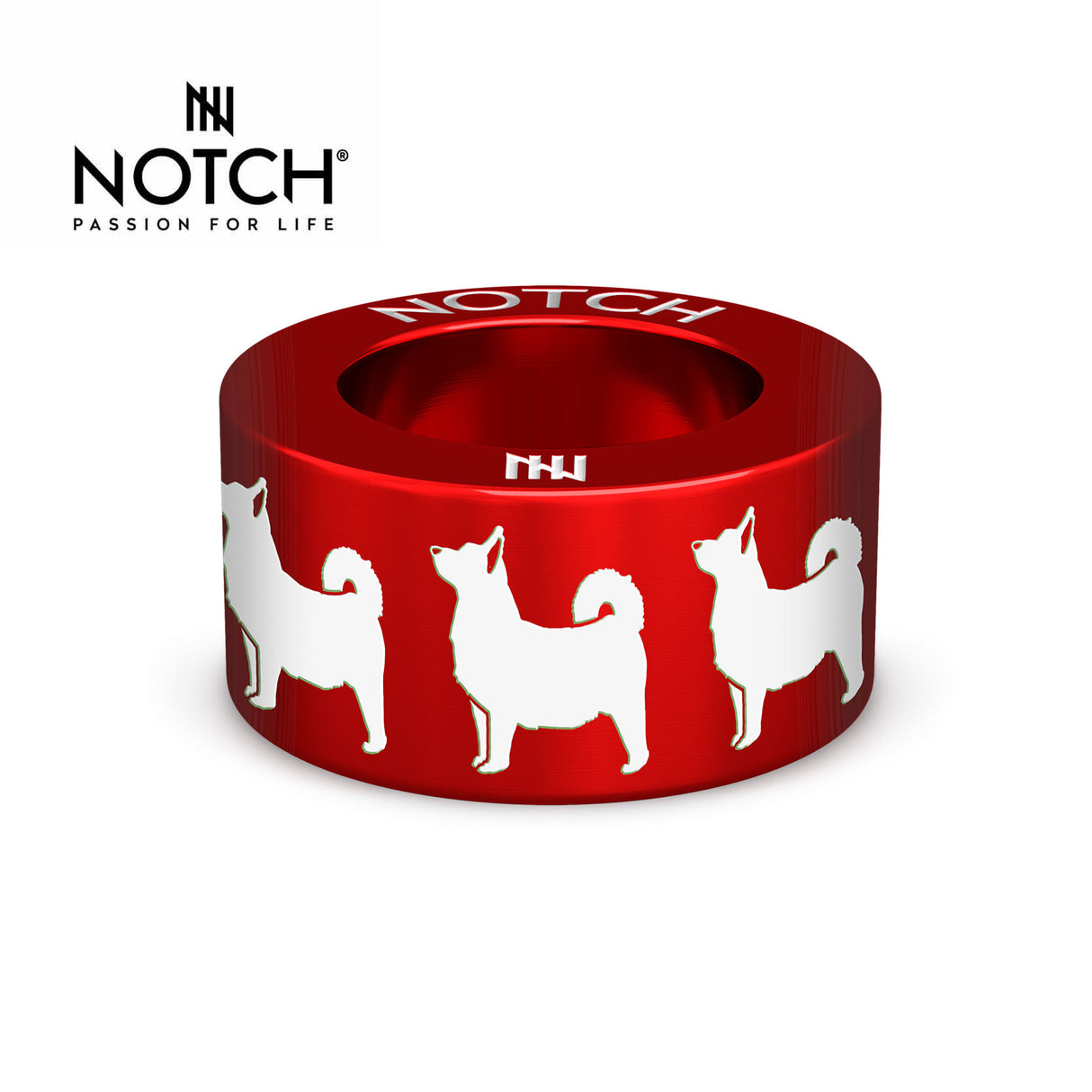 Swedish Vallhund NOTCH Charm